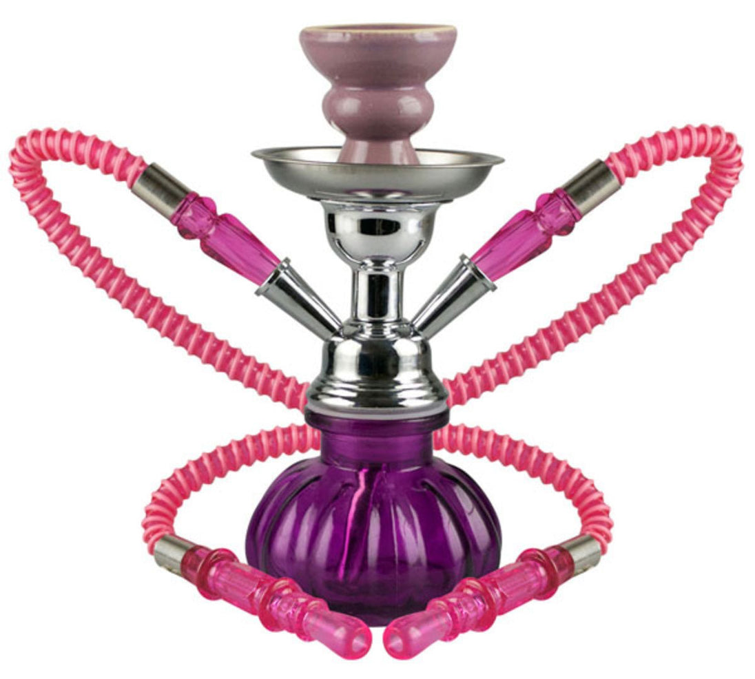 Pumpkin 10" 2-Hose Premium Hookah - Glasss Station